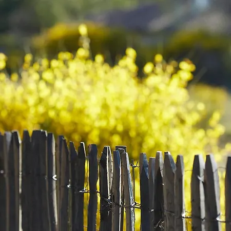 Cote Phare Ξενοδοχείο Contis-les-Bains