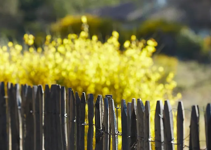 Cote Phare Hotel Contis-les-Bains
